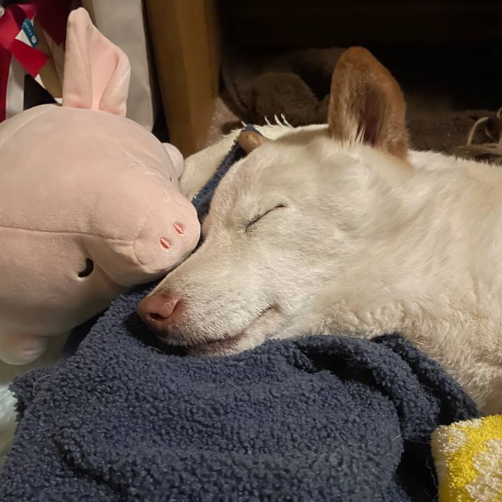 Aa8f352e bc17 4c1f 9ff3 57a9ad333962 1635781495029