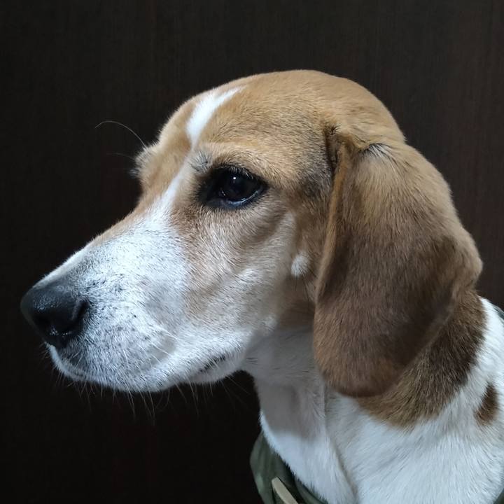 Aa8f450e ffb6 423c 9ba1 788444da631d 1671803960703