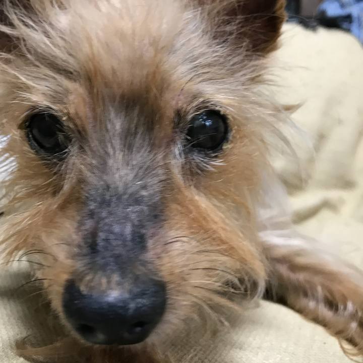 Aa8f5bd4 49d6 40ac bda1 4b44f0979f96 1527328702305