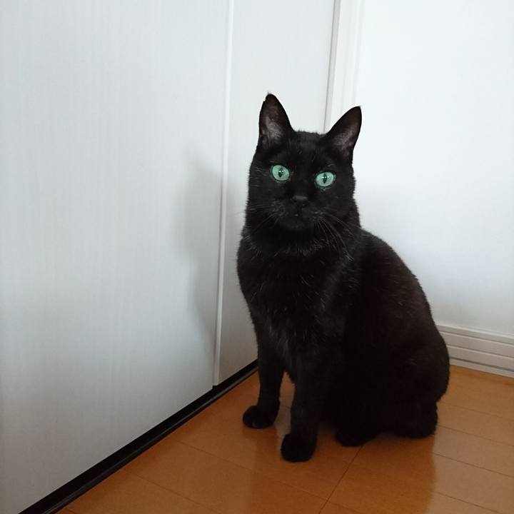 Aa8f89e8 7908 4d2c 94e1 a372db28e2be 1589283491796