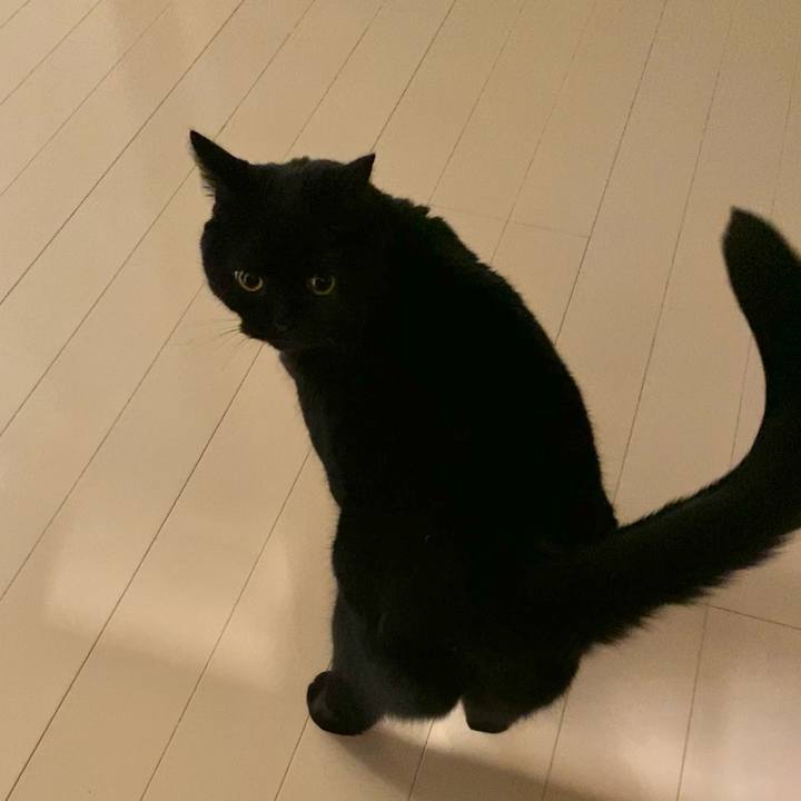 Aa8f9037 c30a 4778 ba3e 65f7f698863e 1670850913890