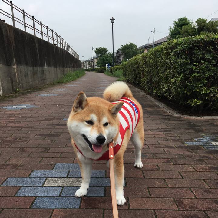 Aa8fbc62 02a3 4d44 b74e ae666467f2ed 1563336346708