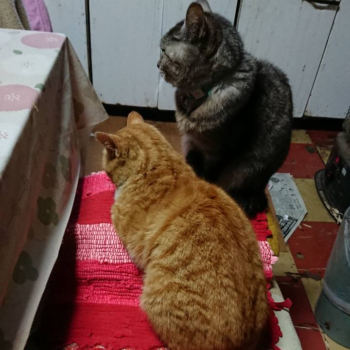 Aa8fc4a3 2d04 4074 b3e3 f5072cde6b14 1554928907091