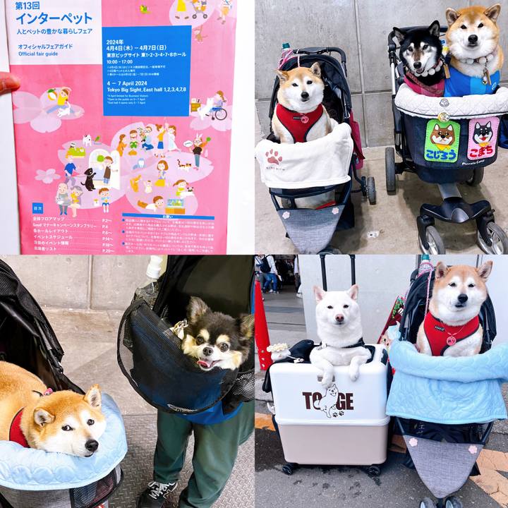 Aa8feccb 865d 4925 8775 7803082f0293 1712411901155