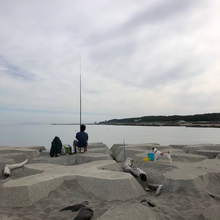 Aa902f85 f358 451f 9612 91cb7c1dc8e0 1592089057548