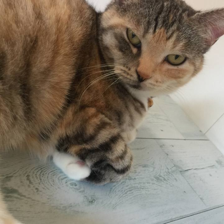 Aa903e98 2448 4cdf 97f0 e66d15c01e52 1558754843405