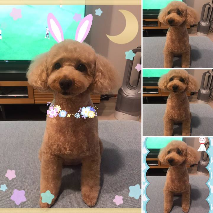 Aa906328 e727 4a8d 912f 31b99c234c4c 1561901280436