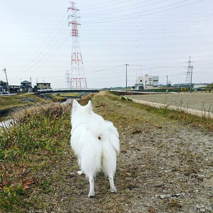 Aa90d39f 1235 44e3 b1df 4eae5eb0ff6c 1519192235600