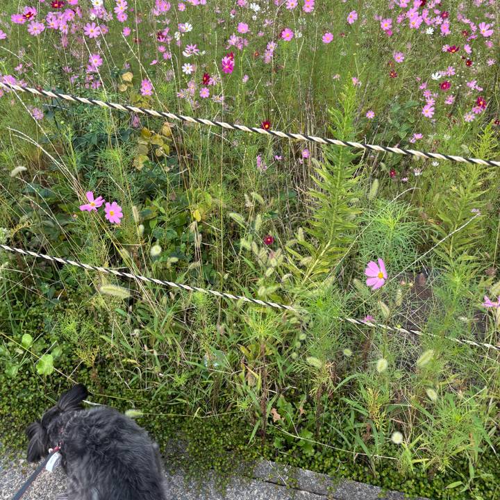 Aa90ed78 1116 43ce 9820 06acc2b0e4ea 1758365902828