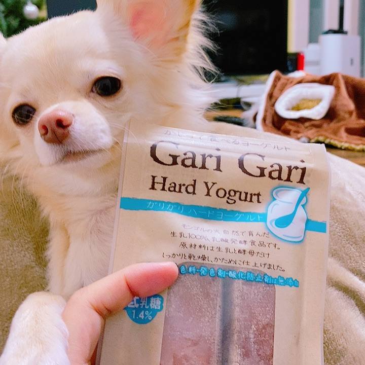 Aa90fe59 d514 45a6 8ff8 55df930a64a7 1608882863274