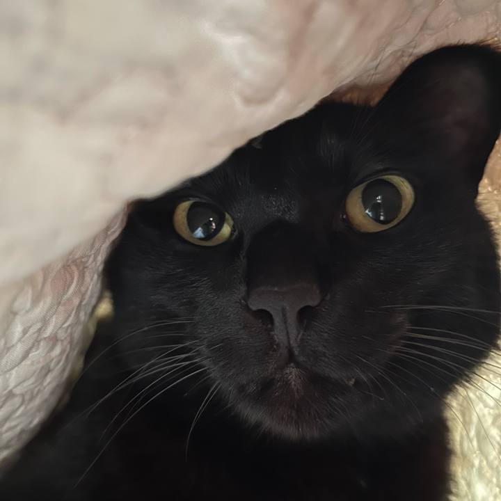 Aa91378a cd6b 4657 b11e fa44b0eb1cea 1685237826909