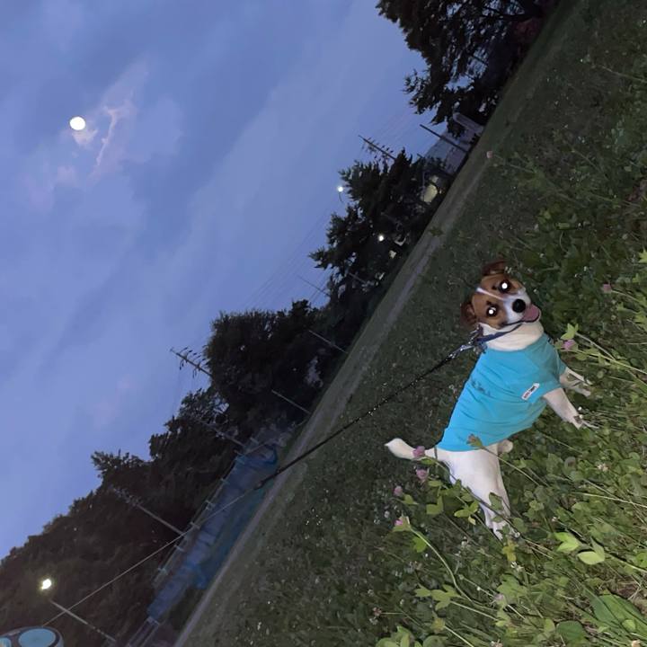 Aa9159b9 cb6d 4151 9560 9c05d97fea1b 1626958132324