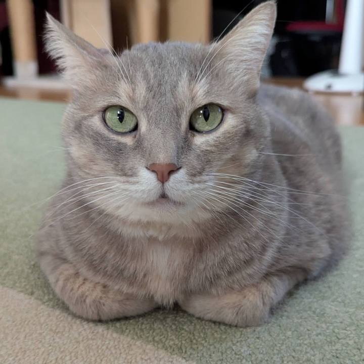 Aa9192f8 ca66 425c b9b8 aa596ba6c40b 1760500449893