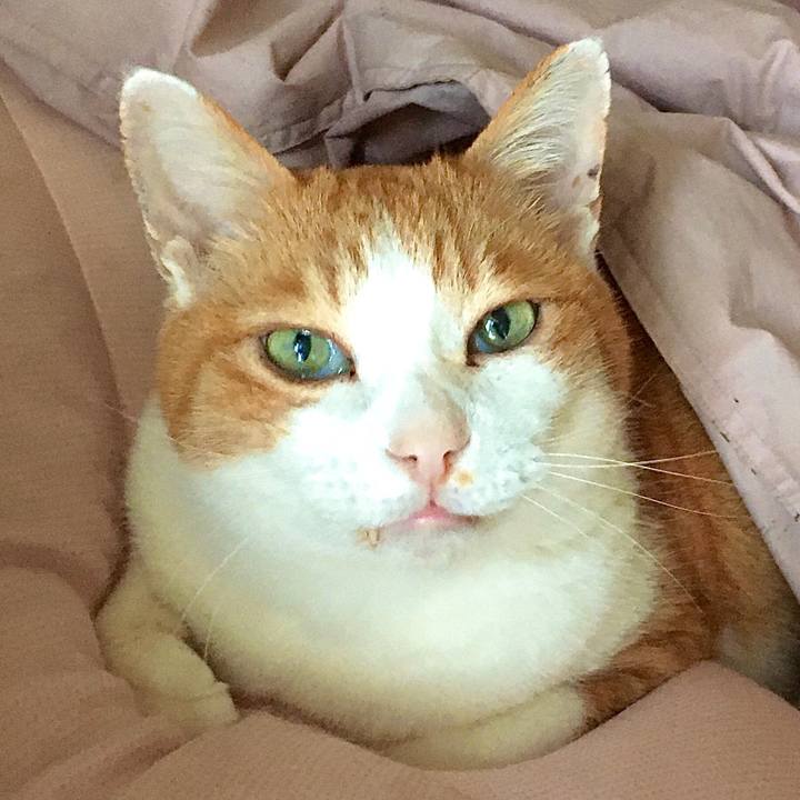 Aa919bab e189 4159 8eba 3c1230f6dade 1616232799300