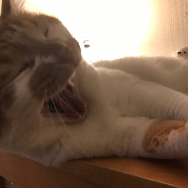 Aa919e2e 4ab5 40d7 b433 252d79cdc803 1558694225243