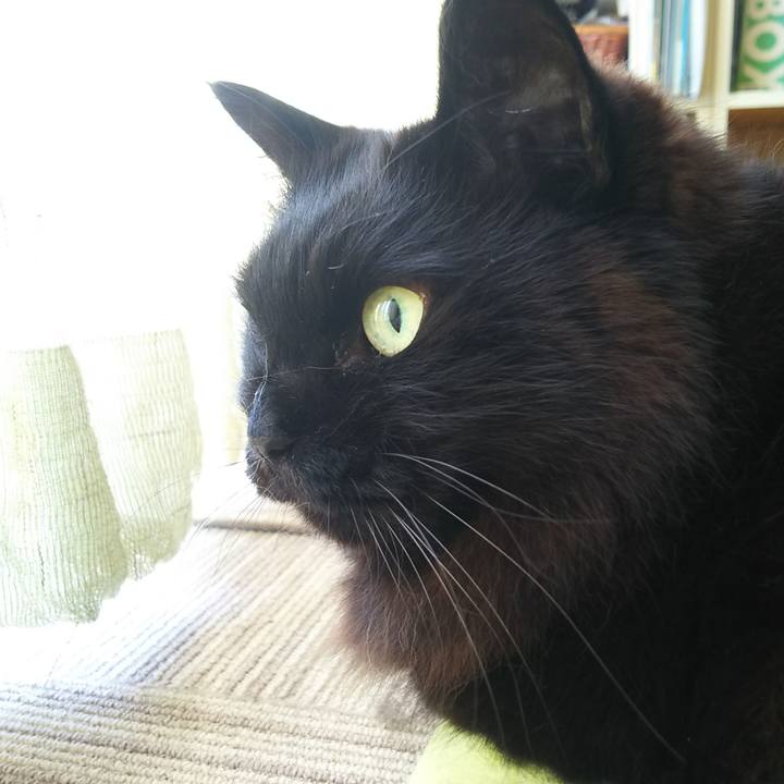 Aa922323 5df1 4db9 acbf 03a09c5dcdbd 1555718280386