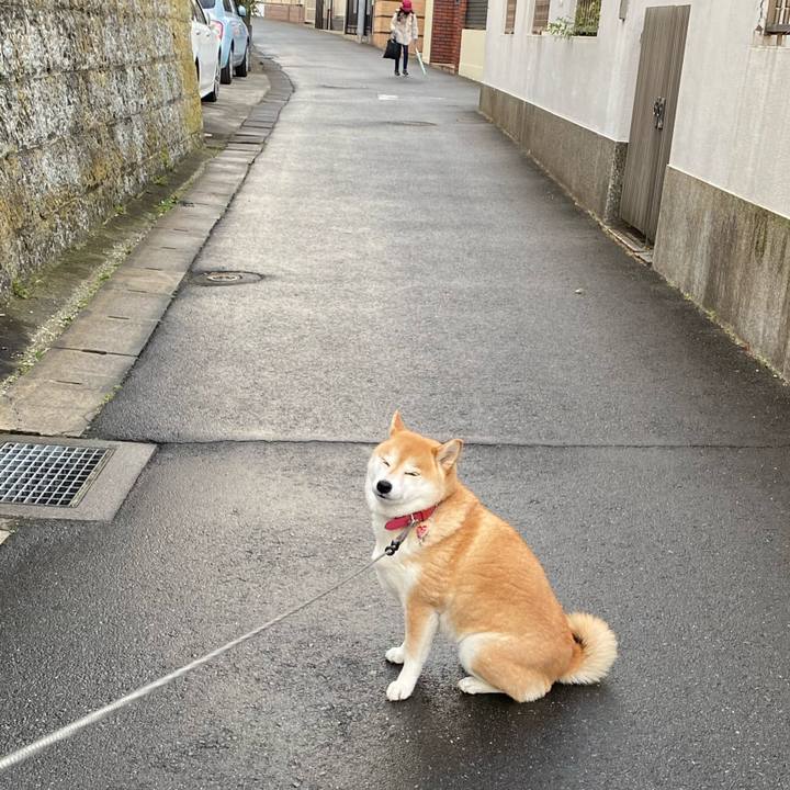 Aa9251d4 b00a 472e 8471 256c0c425286 1610544123230