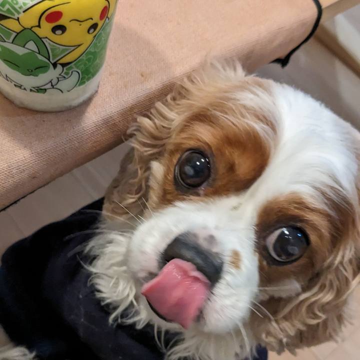 Aa927ef3 0b6a 428a ba13 a38ba45986d6 1683272493640