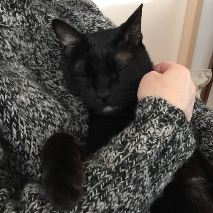 Aa92829f 5cc7 4478 8ab1 798516f4ea36 1514787254859