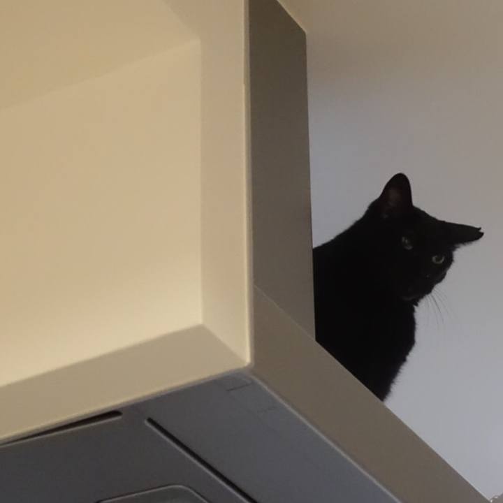 Aa929d52 8741 486c 9028 b8e02edfce60 1559728167565