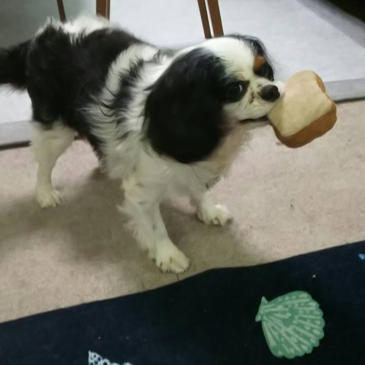 Aa929f34 1524 4dab bb9e 4e2417ce1cd6 1534322412410