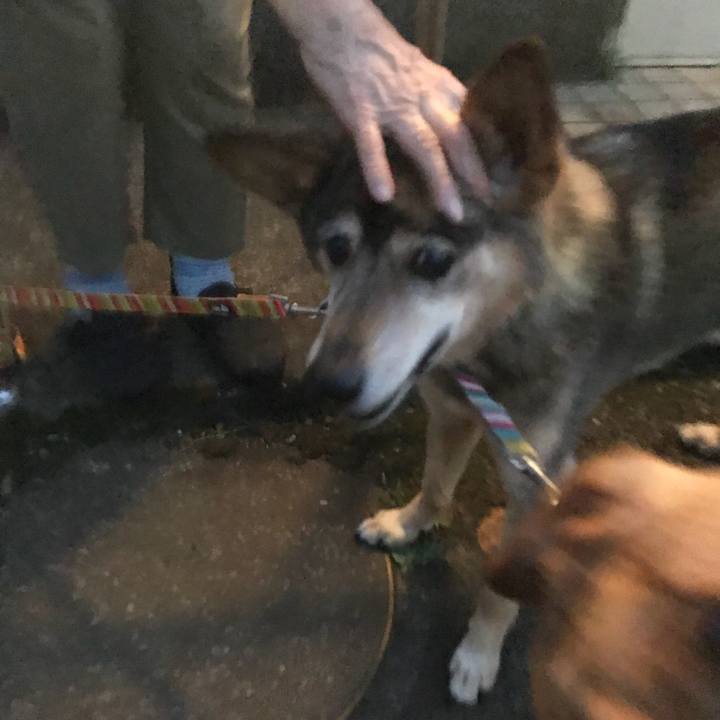 Aa92f14d 74a4 4445 8213 3be07671be7f 1532176579517