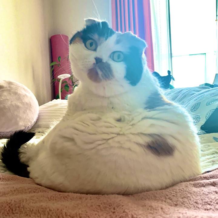 Aa931967 0267 4ab7 8db5 4326e229d1fe 1585270868365