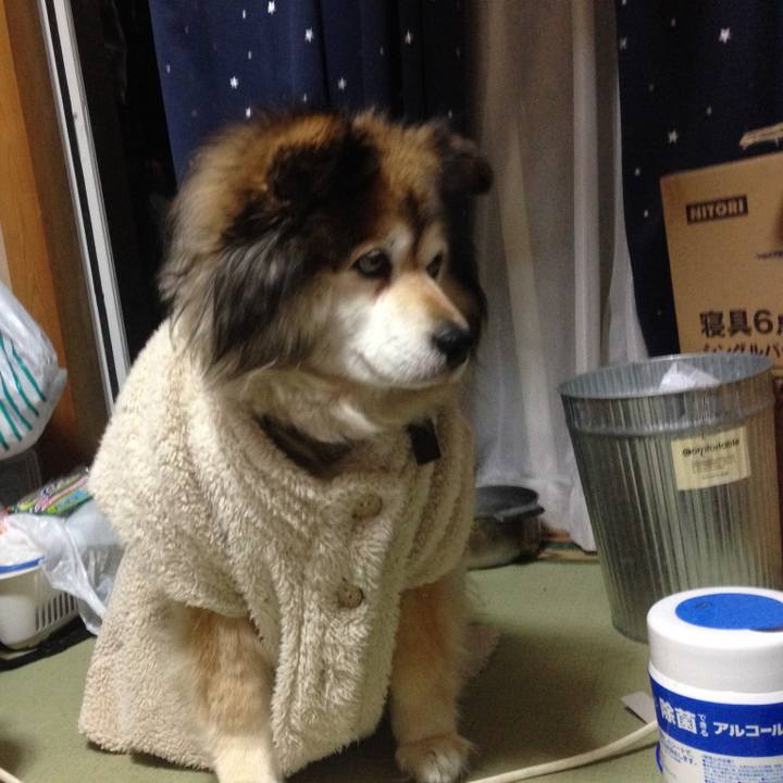 Aa9337b3 8f0f 4300 bf40 887be90b487e 1566515725955