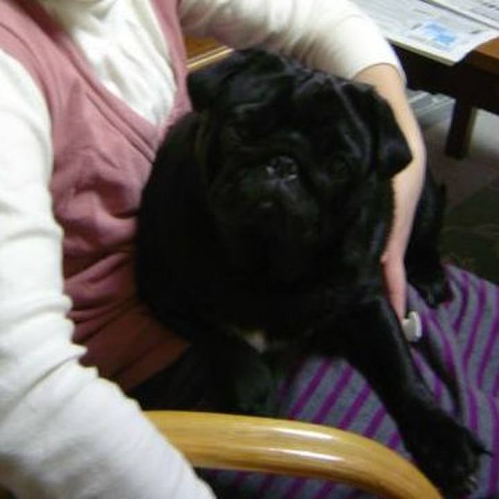 Aa9390e3 4719 4290 87a3 ef43f3df84c3 1581523262197