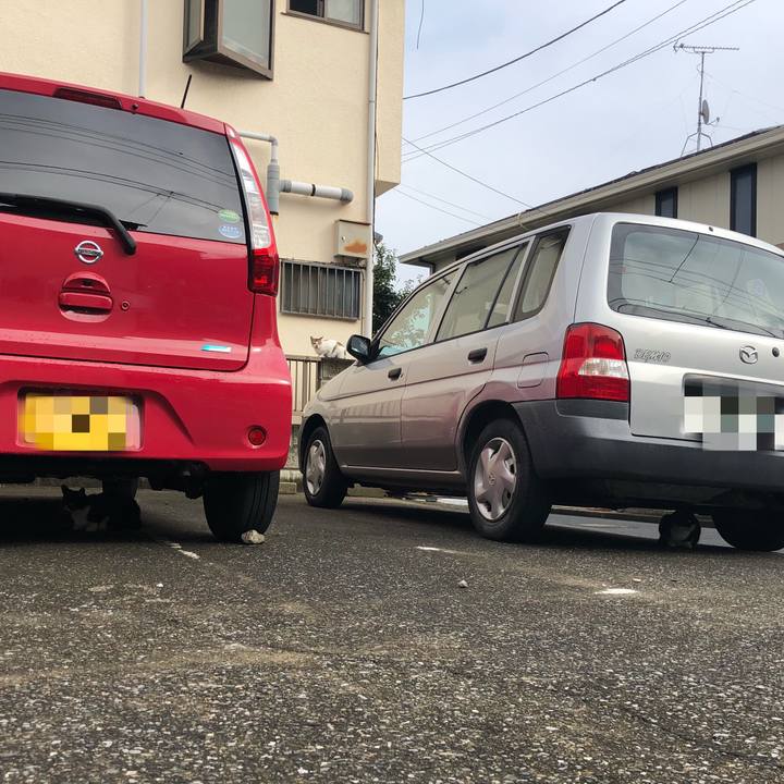 Aa93c1e3 082f 4aeb bafb 0f581778477e 1537021488475