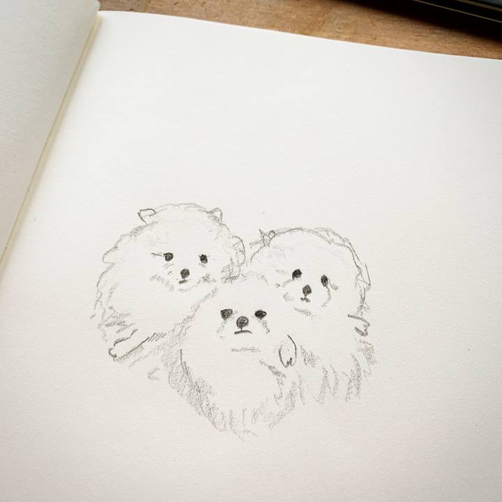 Aa93c8e0 0709 4131 b760 106c71ec37b5 1589065058225