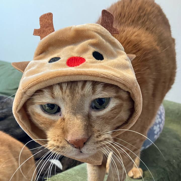 Aa93e8df 5c76 4a82 af16 f2144651b758 1764479228328