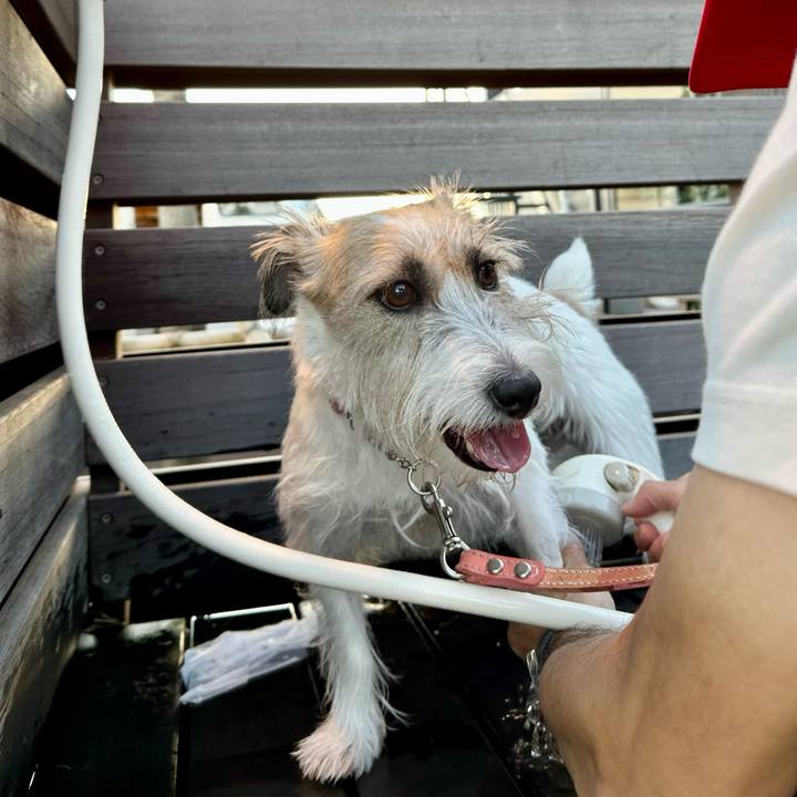 Aa9400dd a4a2 4940 8ba8 2a00c124583e 1695554111076