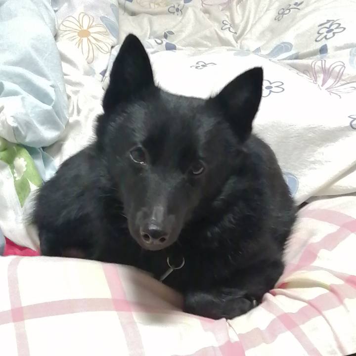 Aa943241 a976 4e93 942b 7ec4c8af653f 1645653339839