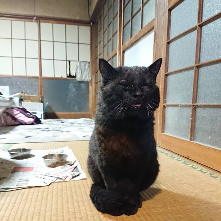 Aa945785 4fb1 4518 8484 79c034688994 1619094757974