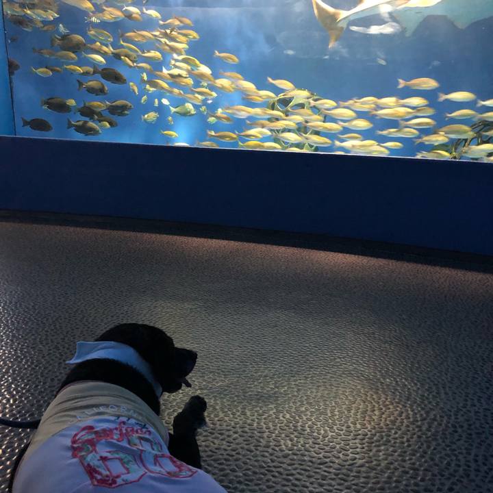 Aa946d97 855c 4647 9df7 1930541fb7e4 1564966130421