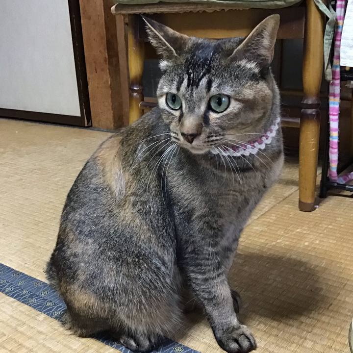 Aa948152 dfce 4153 8b46 e5052abe2ff7 1650187461179