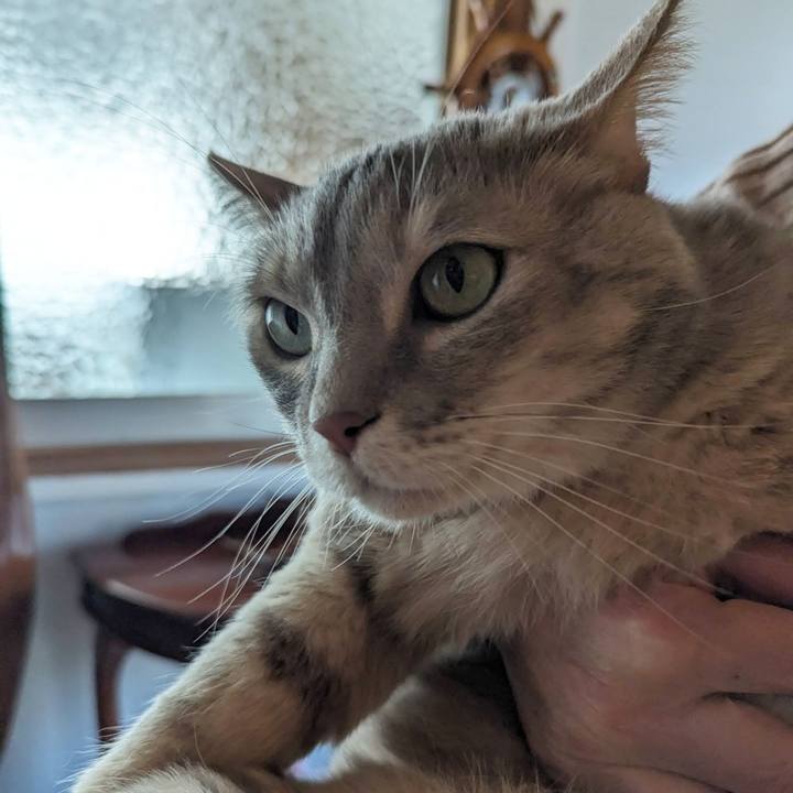 Aa949540 05b0 4265 9d4a c741b550037c 1707970739333