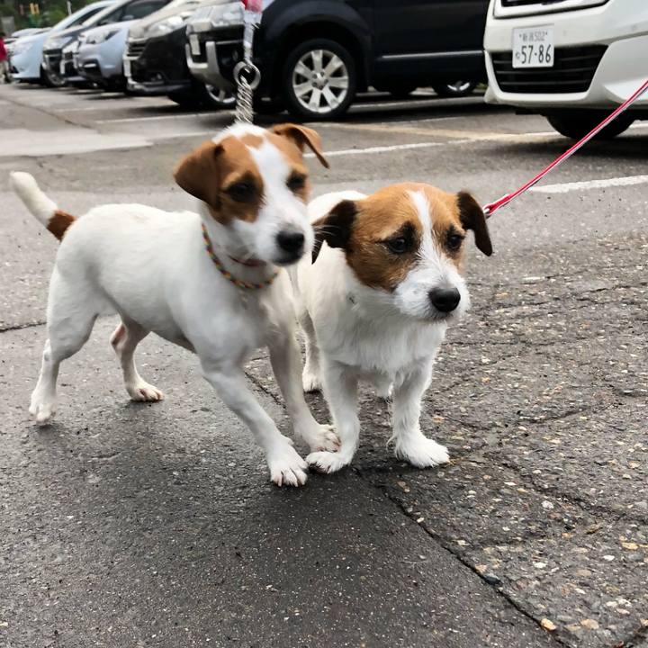 Aa94986c 2831 4c73 a173 6aed6a203aaa 1525359099168