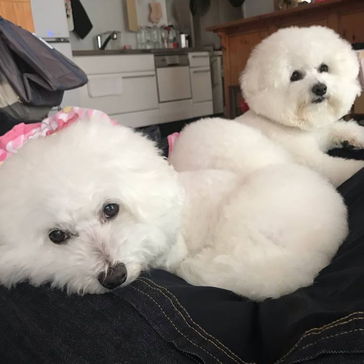 Aa94e9b9 4ee8 4f31 a330 74e89594028f 1574388256206