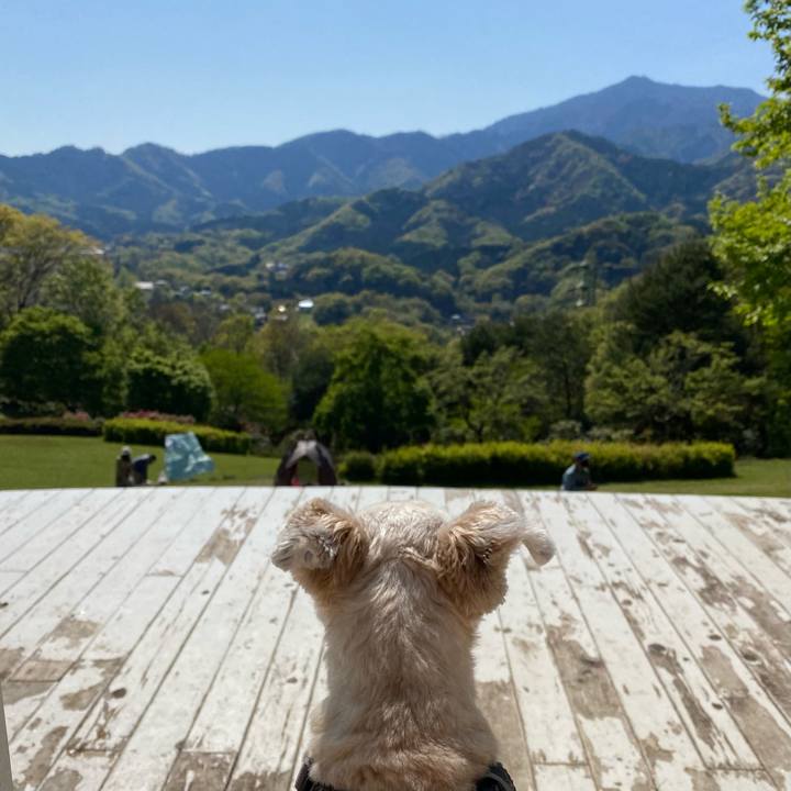 Aa94eeca 22f4 4038 8c01 7f704b282114 1618056671422