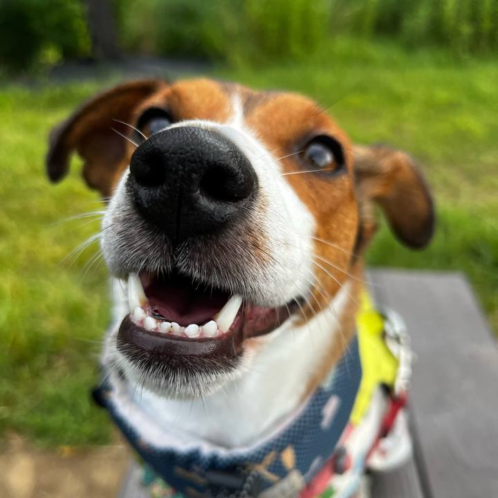 Aa951f03 1673 4b73 97dd 677156d368f0 1755576007371