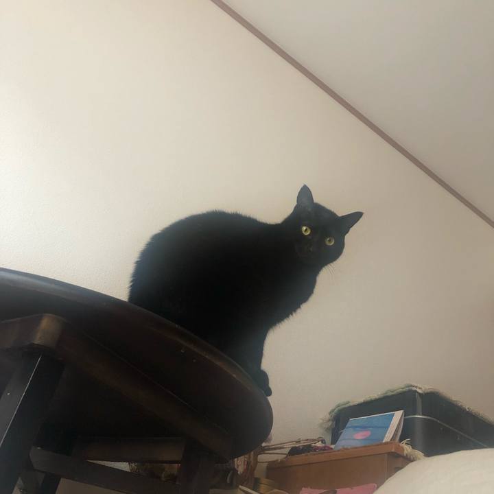 Aa953195 541f 4cb0 93ab 93ed3b7ba8b9 1546298075987