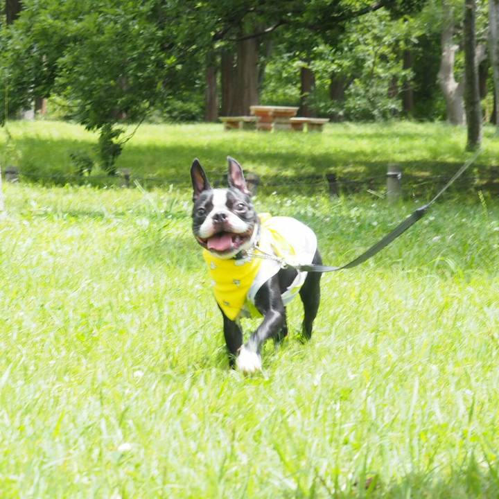 Aa953d11 b819 45ab 900a 8580be84f3e1 1531024068252