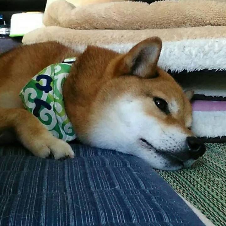 Aa95aae0 3072 45f3 b8d9 7ab9693d7137 1559801416006