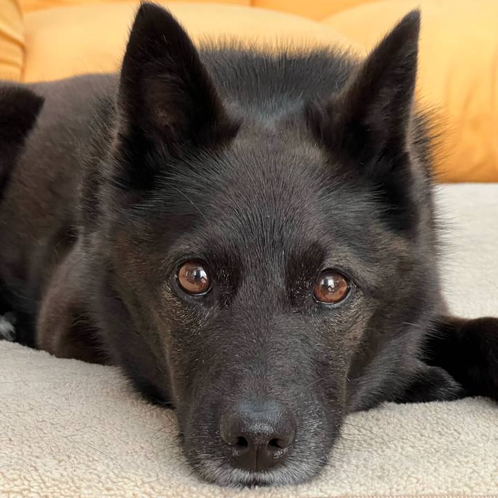 Aa95f3db 063b 4dbe a03f 53989450063d 1683245695923