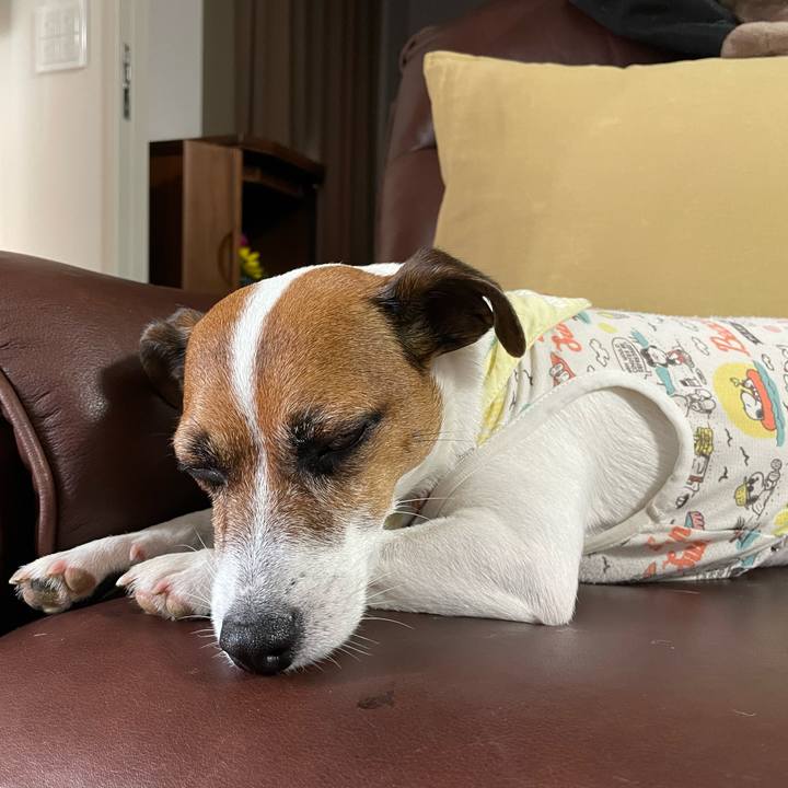 Aa960701 f0bf 4df7 ac13 36a3f565d5fa 1720080866265