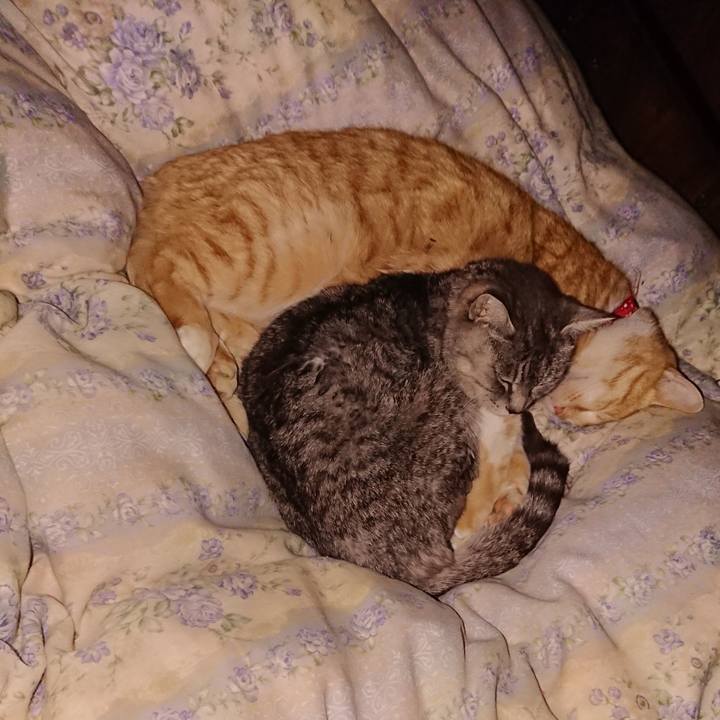 Aa966983 de32 46e8 8ab5 9f63701c3feb 1579099893537