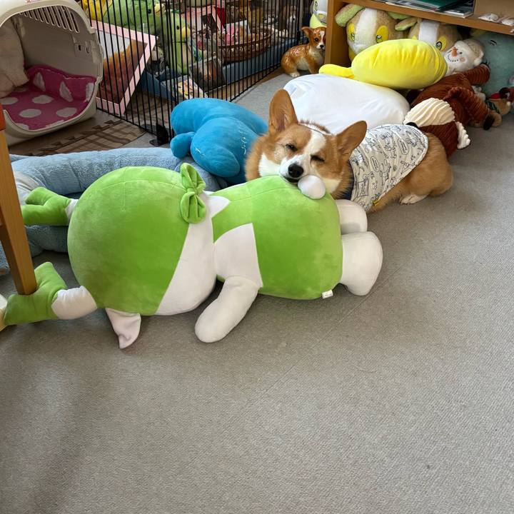 Aa9673b6 f1c9 482f 9a90 5ae48ac7897c 1766967814598