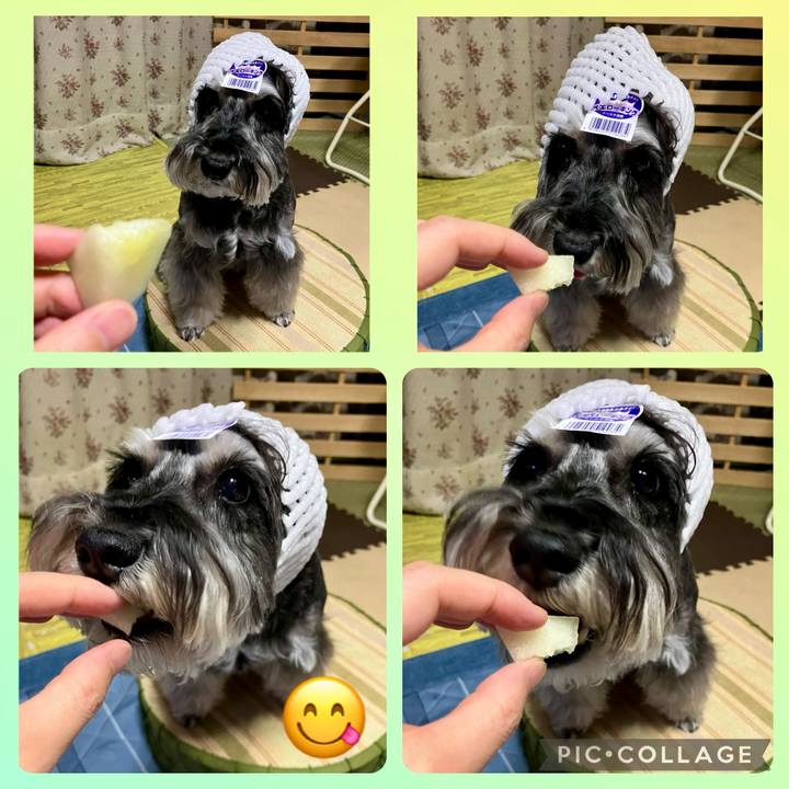 Aa96a063 5812 4ccc bec5 fadd47e9875a 1720316638248